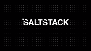 Open source er lige så sikkert som proprietær software - salt stack