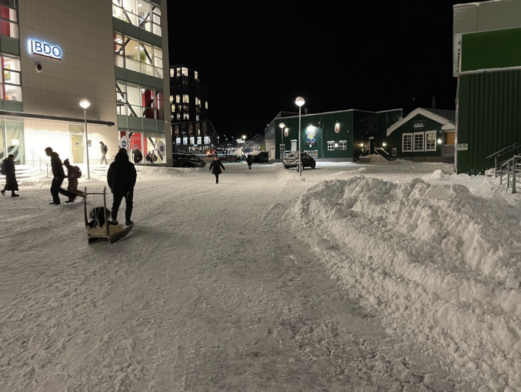 Direktionen på kundebesøg i sne og minusgrader