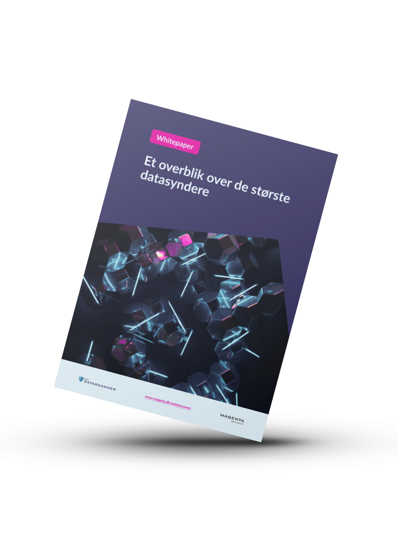 Et overblik over de største datasyndere - OSdatascanner